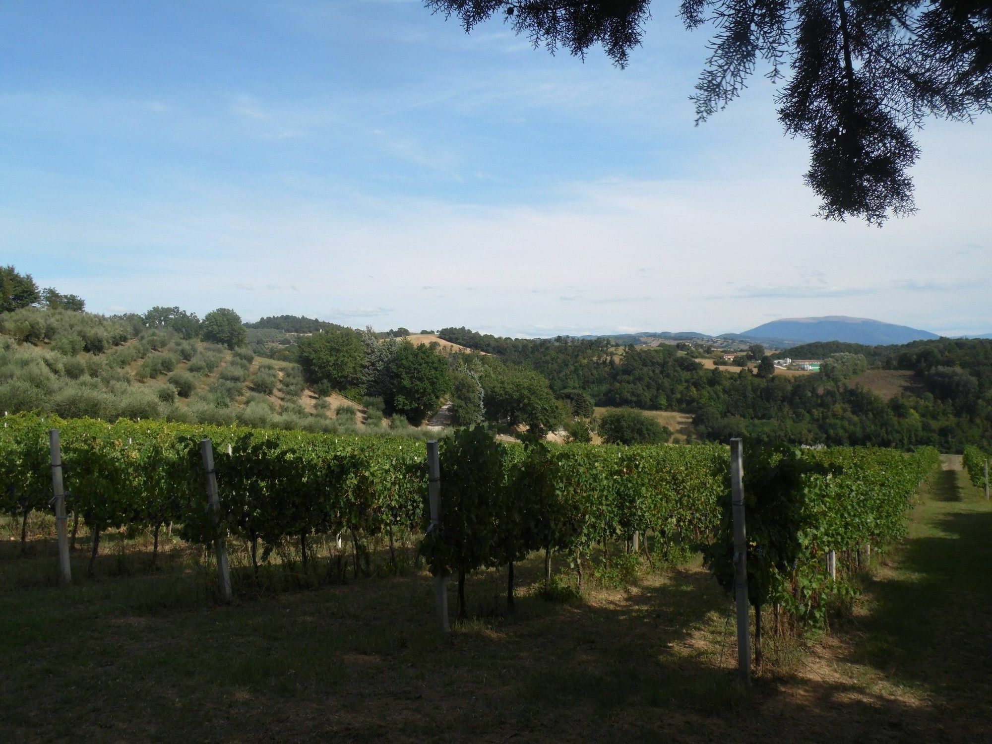 Podere Caldaruccio La Pineta Perúgia Exterior foto